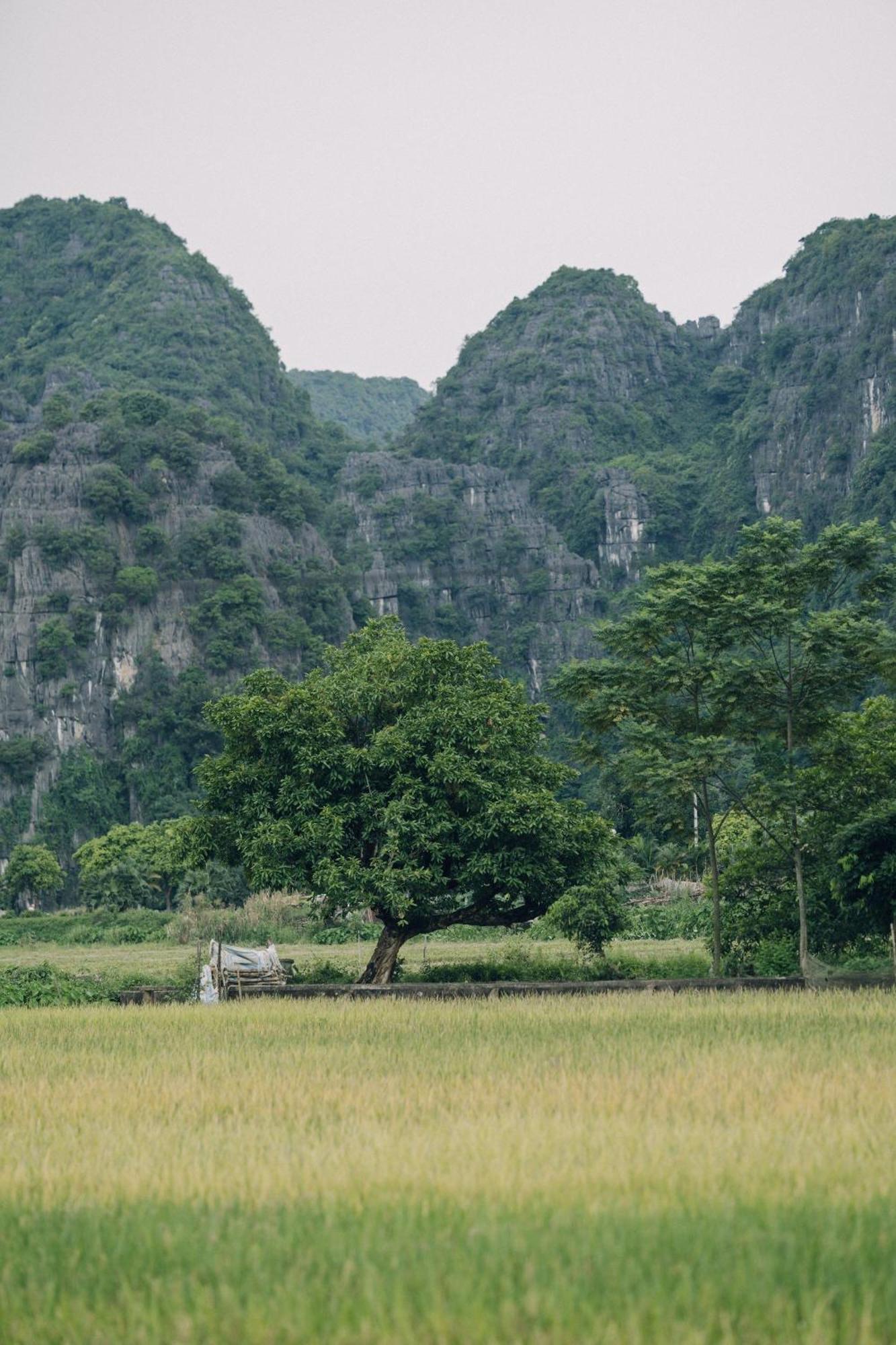 Tam Coc Windy Fields Villa Нин Бин Екстериор снимка
